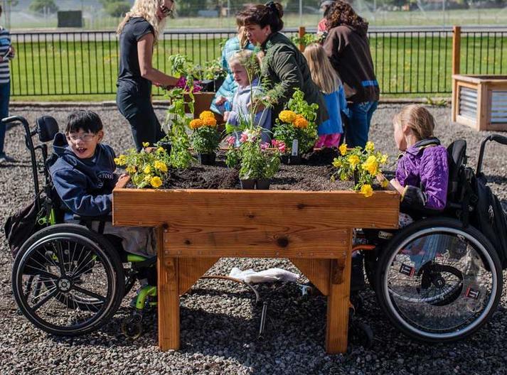 How To Set Up A Wheelchair Accessible Garden How To Set Up A Wheelchair Accessible Garden